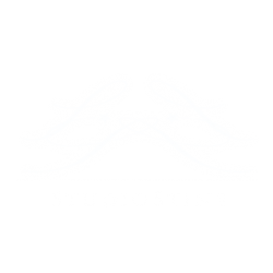 StudioStine